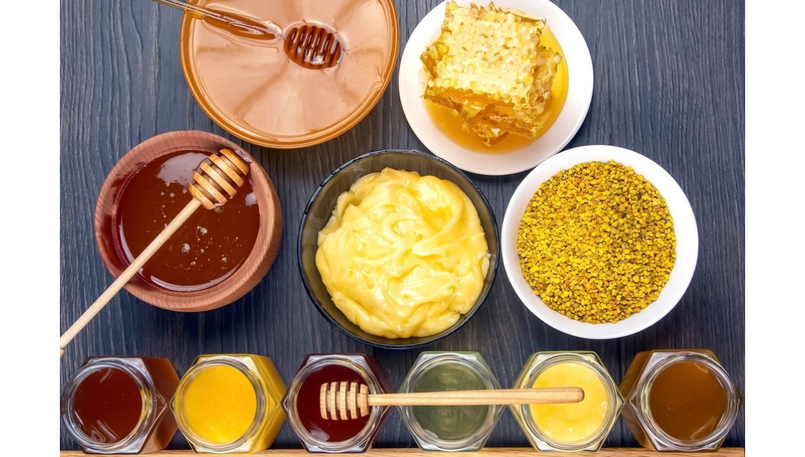 ¿Qué extractor de miel comprar? ¡Guía 2026!